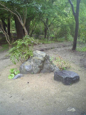 07224-02-080417.jpg