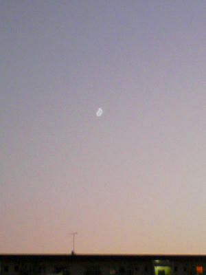 07205--080422.JPG