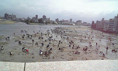 07305--080423.jpg
