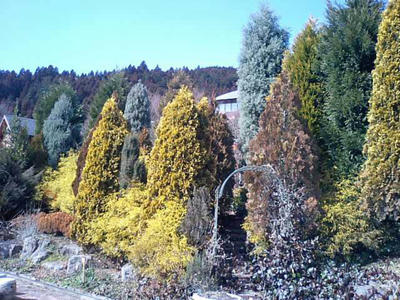 07218-01-0425.jpg