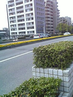 07109--0428.jpg
