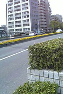 07109-b-0428.jpg