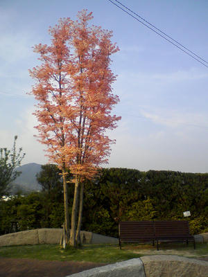 07205-03-080430.JPG