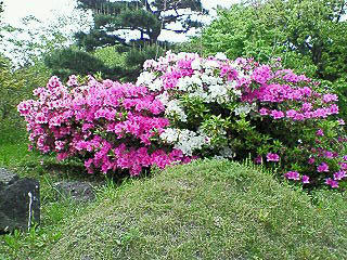 07223-01-080501.jpg