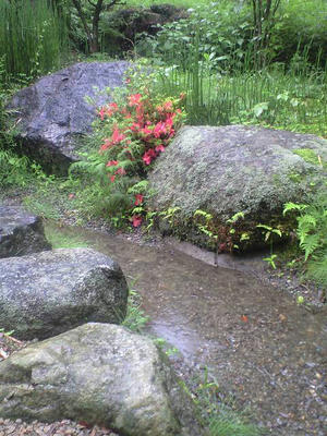 07302-01-0624.jpg