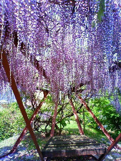 200904211320000.jpg