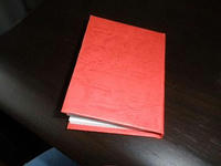 P3100351.JPG