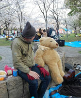 DSC_0038.jpg