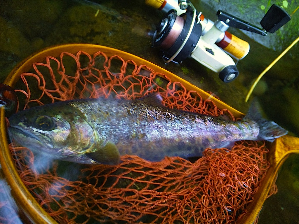 sDVC00330.jpg