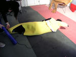 ed66df75.jpg