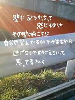 middle_1198752495.jpg