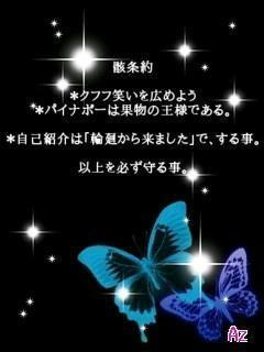 middle_1199504355.jpg