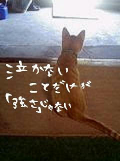 middle_1203071820.jpg