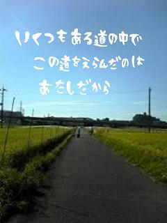 middle_1197628680.jpg