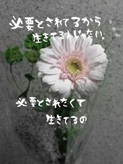 middle_1197628706.jpg
