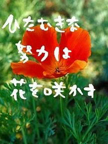 middle_1197628786.jpg