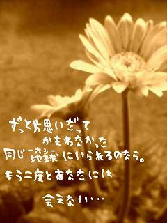 middle_1197628981.jpg
