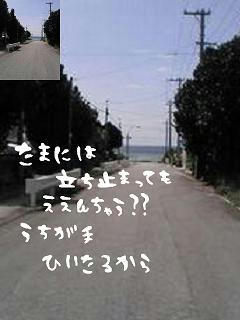 middle_1197629052.jpg