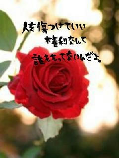 middle_1197629128.jpg