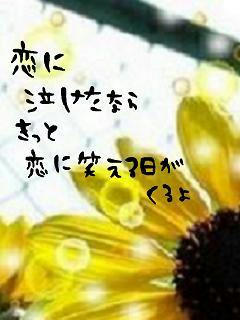 middle_1197629198.jpg