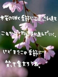 middle_1197629222.jpg