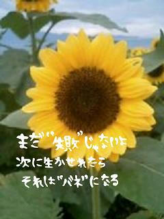 middle_1197629269.jpg