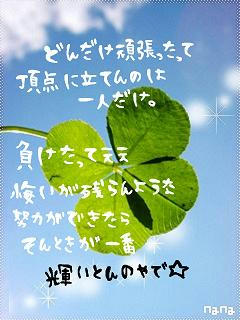 middle_1184594415.jpg
