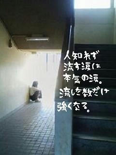 middle_1184594453.jpg