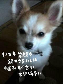 middle_1191073565.jpg
