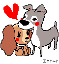 10032843679_s.png