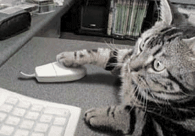 20060509_165017.gif