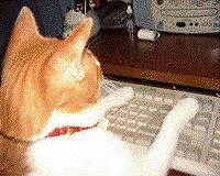 20060512_166191.gif
