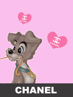img70e323a4pfyr0s.gif