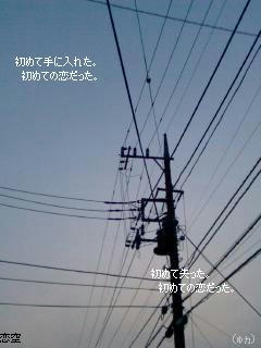 42cbc314.JPG