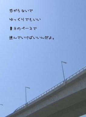 a86338c6.jpg