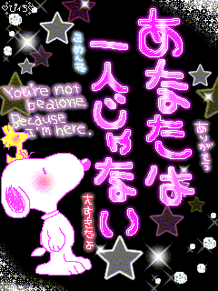 25051_8304rN.jpg