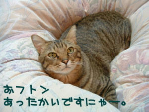 bd0258a7.jpg
