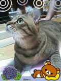 080620_1812~01.JPG