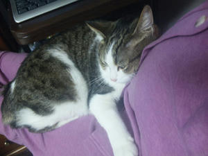 100218_004109.jpg