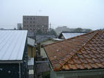 CIMG0623.JPG