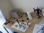 CIMG0974.jpg