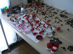 CIMG0975.jpg