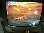 CIMG1253-2.jpg