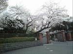 CA390158.JPG