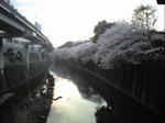 CA390159.JPG