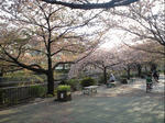 CA390168.JPG
