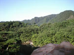 CA390305.jpg