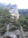 CA390317.jpg