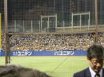CIMG0208.jpg