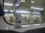 CIMG0362.jpg